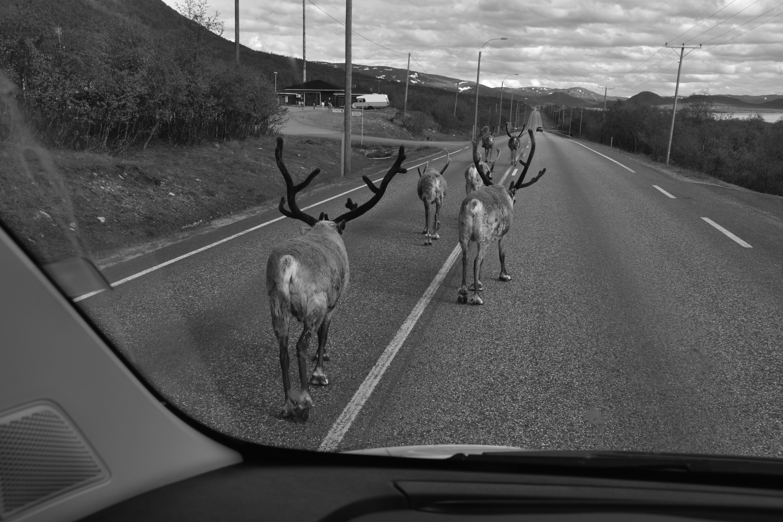 Nos photographes primés au concours de Beaucouzé